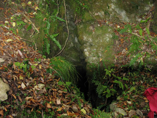 ナベイケ洞 洞口　竪穴
